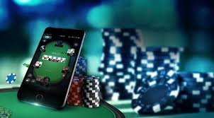 7kbet com