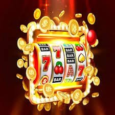 7kbet com